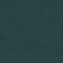 TG-00005596-ForestGreen.jpg