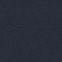 TG-00005602-Navy.jpg