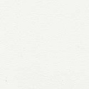 TG-00005603-ArcticWhite.jpg